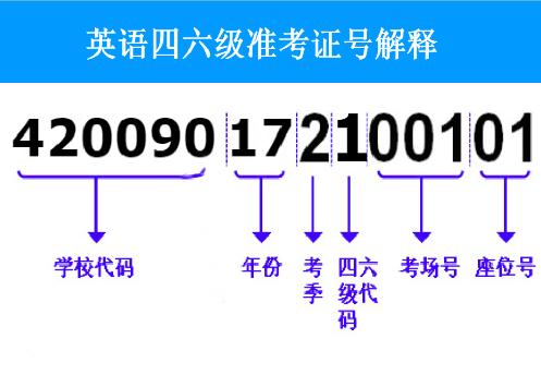 如何查询学考证号_学考准考证号查询网站_证书准考证号怎么查