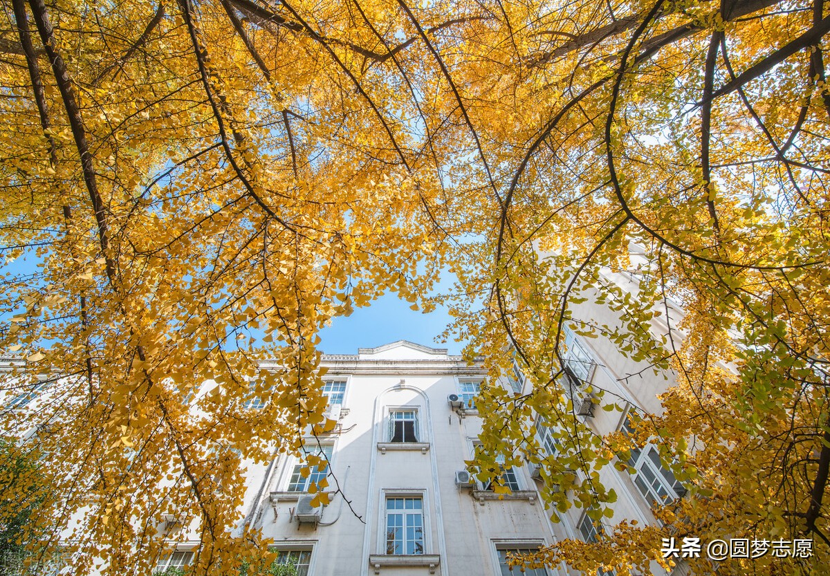 录取大学看的专业分数_成都电子科技大学录取分数线_大学电子录取通知书