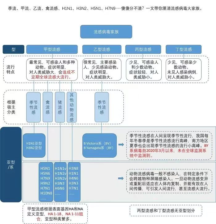 乙?_乙肝表面抗体阳性是什么意思_乙酰氨基酚片功效作用