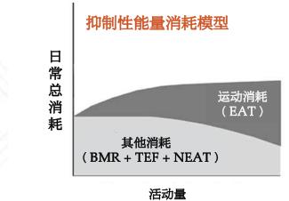 每天一万步瘦腿_每天10000步我瘦了_每天10000步我瘦了10斤