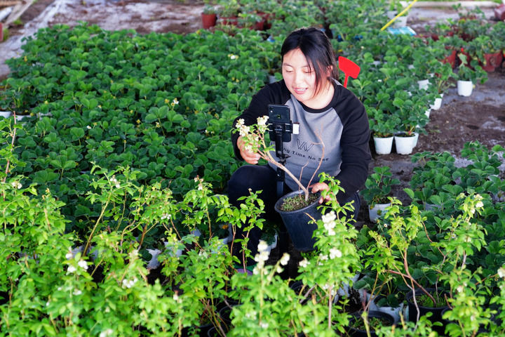 山东工商学院是几本_山东工商学院升格为大学_山东工商学院各学院