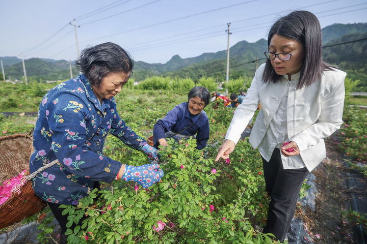 山东工商学院各学院_山东工商学院是几本_山东工商学院升格为大学