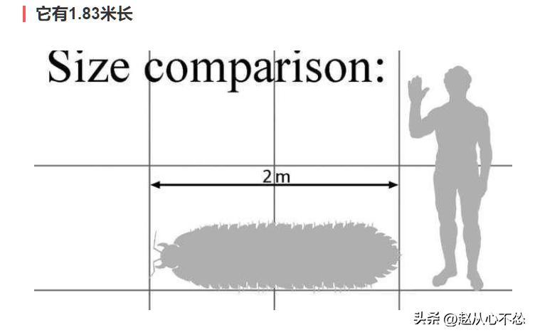 蜈蚣天敌是什么梗_蜈蚣的天敌段子_蜈蚣的天敌是蛇吗