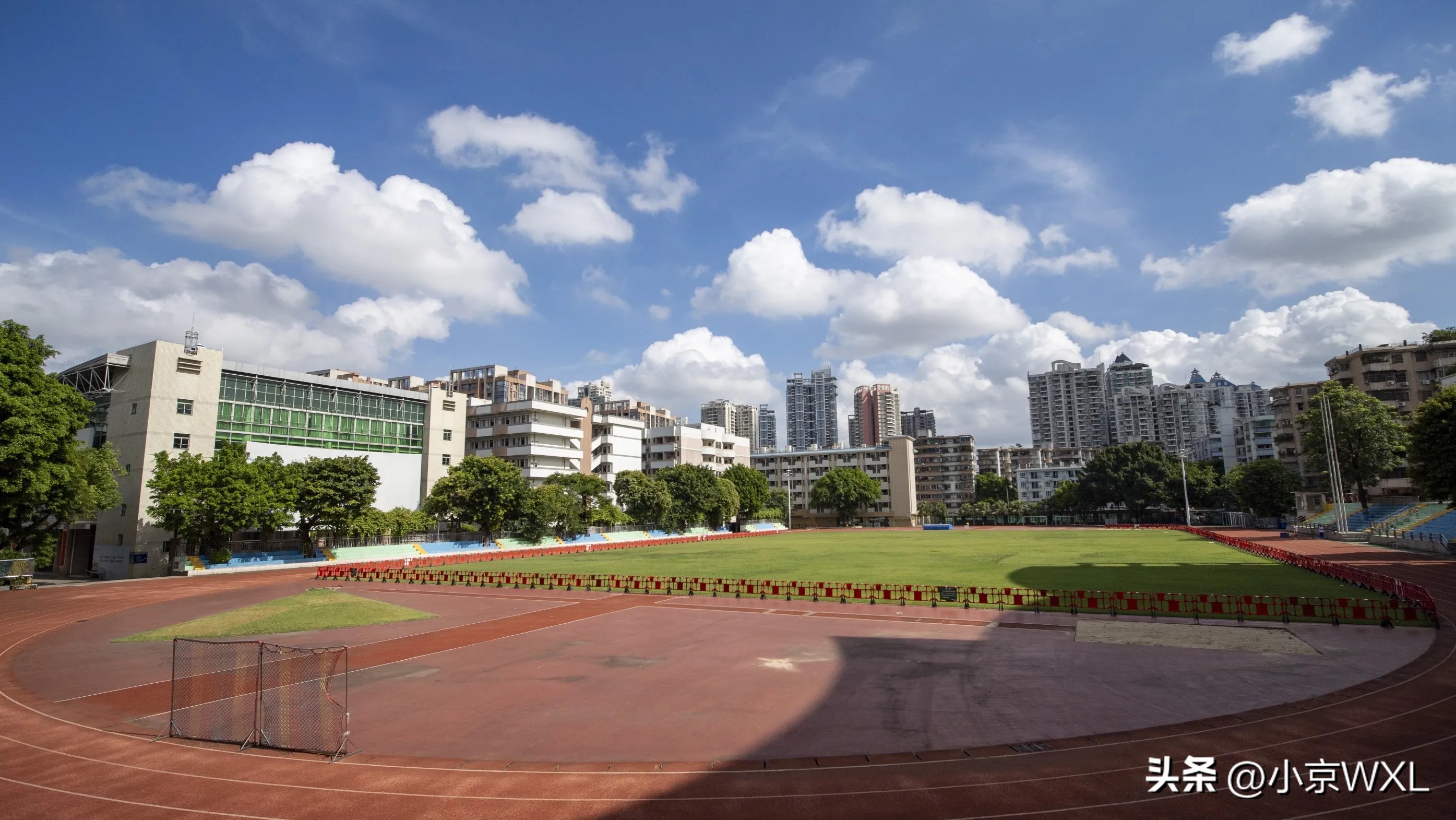 广州六中_陈东琪广州42中_广州中医药大学