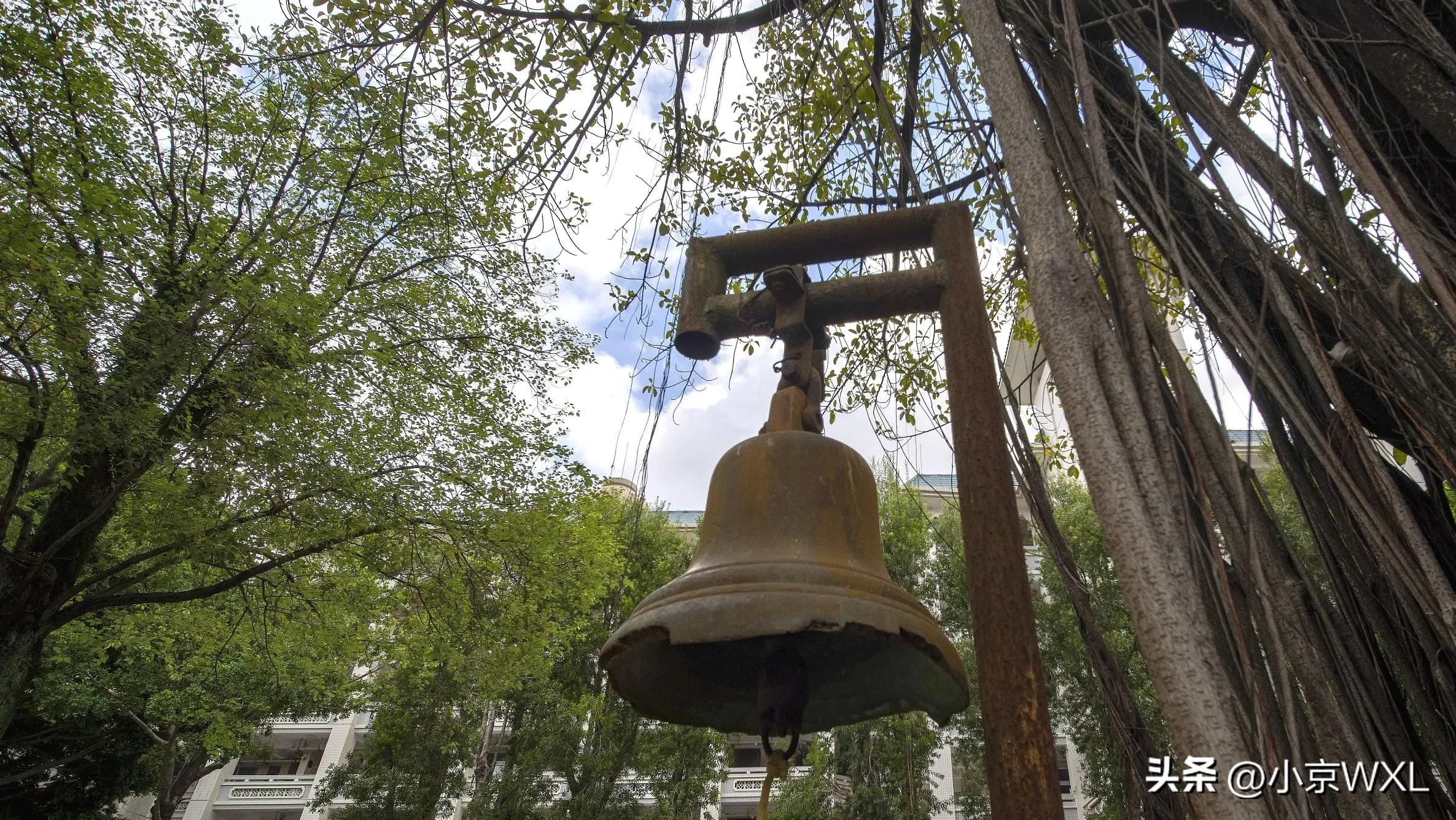 陈东琪广州42中_广州六中_广州中医药大学