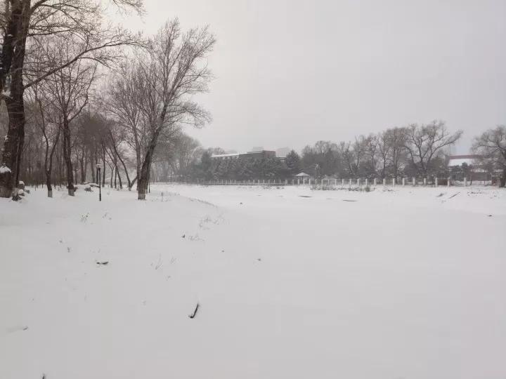 长春中医药大学继续教育学院官网_长春医科大学继续教育学院_吉林长春医药学院官网