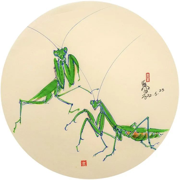 小满简笔画大全_关于小满的简笔画大全_小满多少笔画