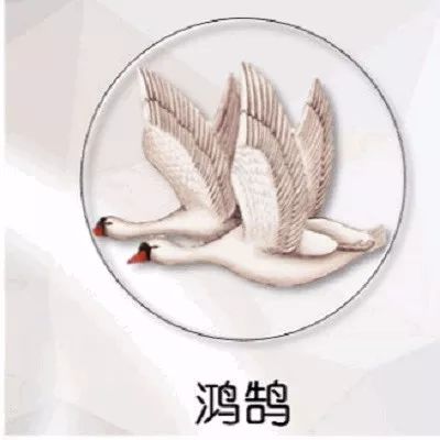 搴阰怎么读什么意思_搴阰是什么意思_搴阰