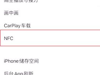 苹果设置NFC门卡-图3