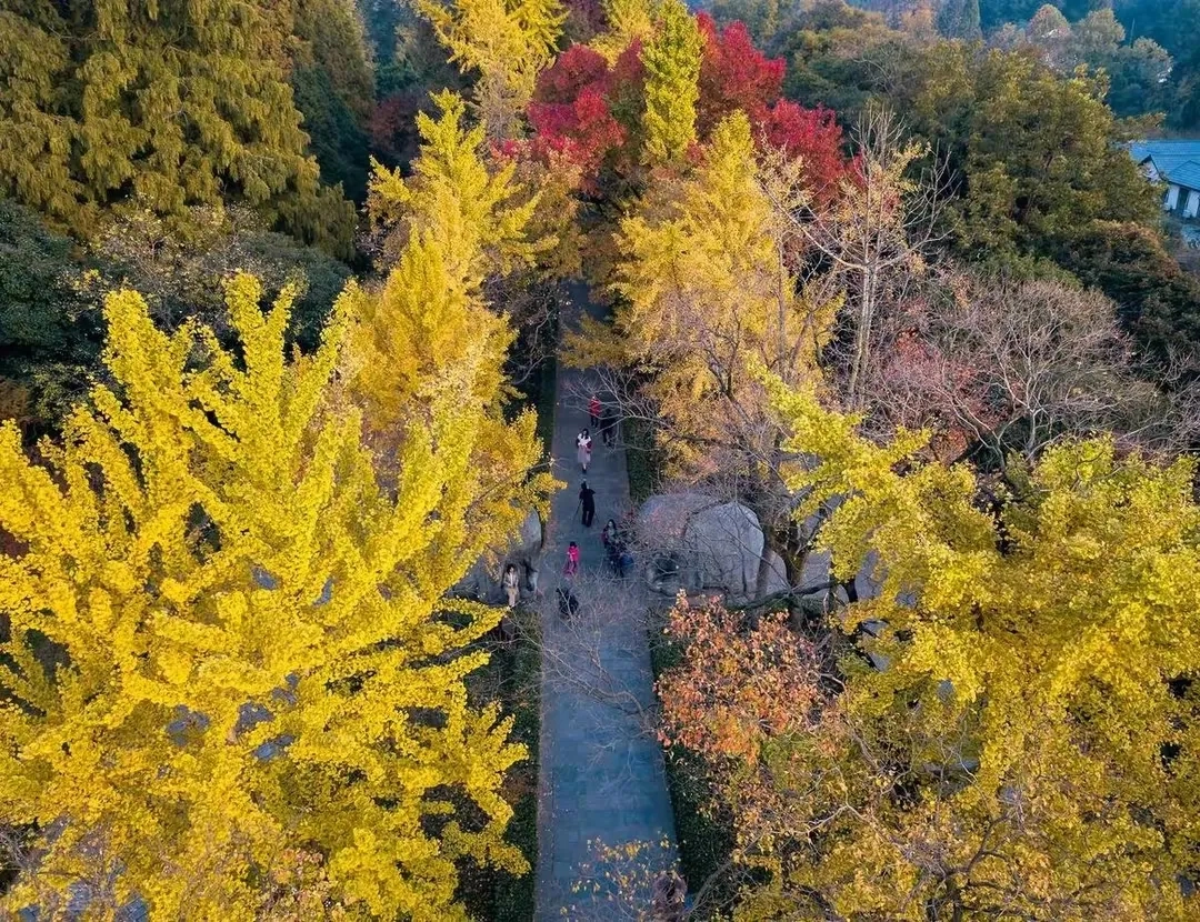 天气预报河南开封_河南天气预报_天气预报河南郑州