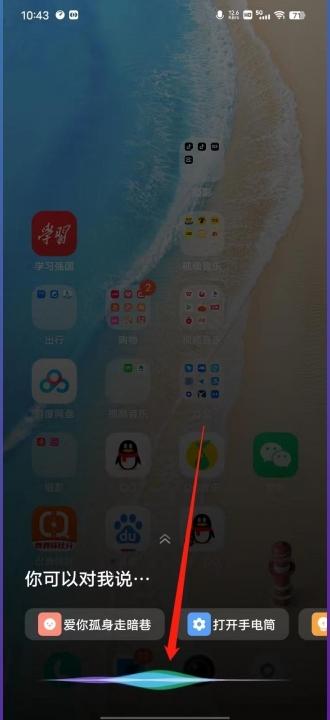 vivo手机怎么设置小v-图10