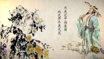 《菊花》这首古诗的原文是什么?