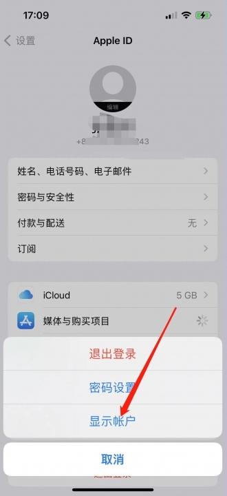 如何查看Apple ID账号-图3