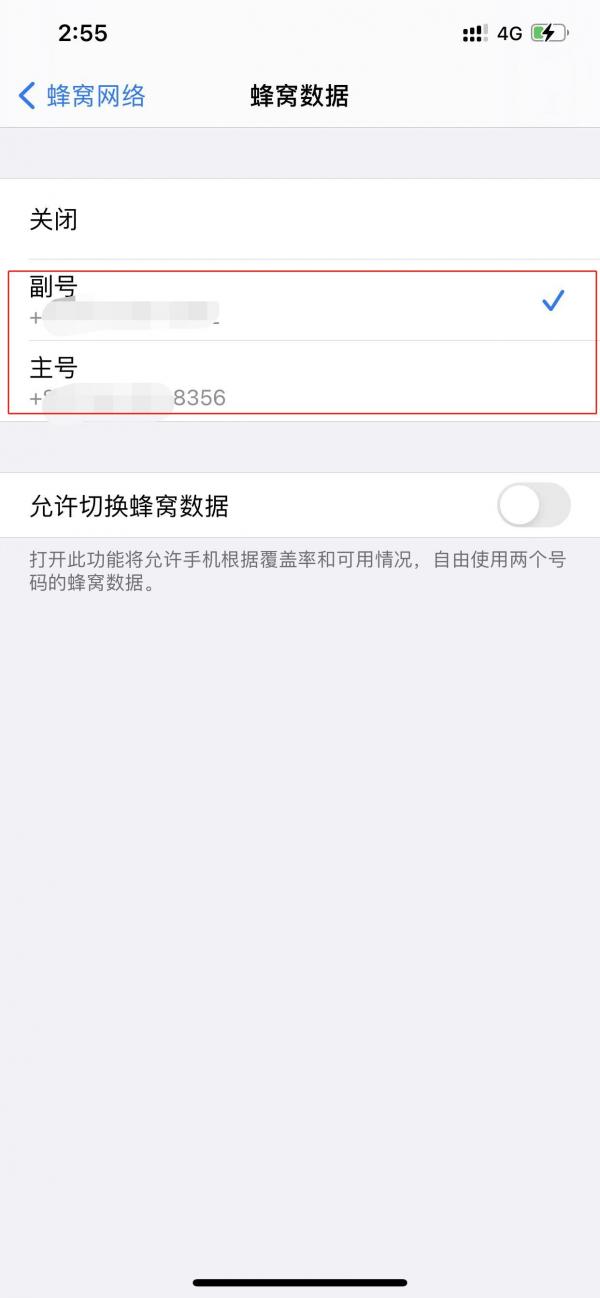 苹果双卡怎么禁止一张卡使用流量-图3