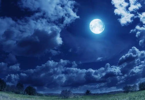 关于月亮的传说,你都知道哪些?