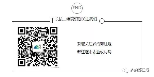 都江堰天气预报_天气预报都江堰市_天气预报都江堰15天查询