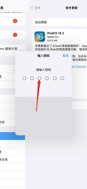 ipad系统版本太低怎么更新-图4