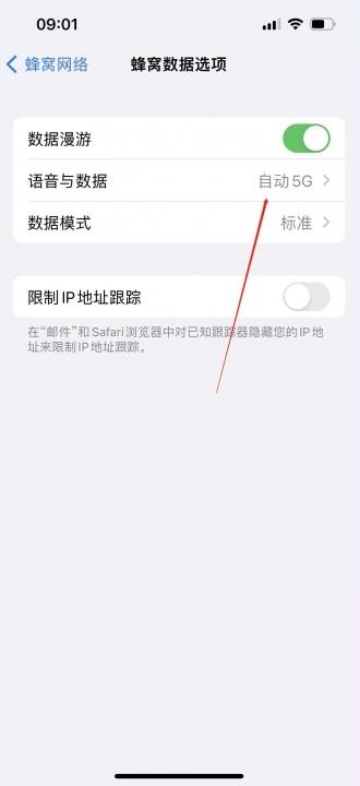 iphone13找不到5g开关-图3