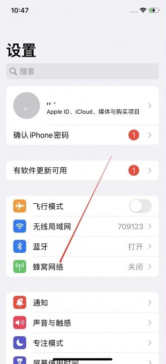 iphone13找不到5g开关-图1