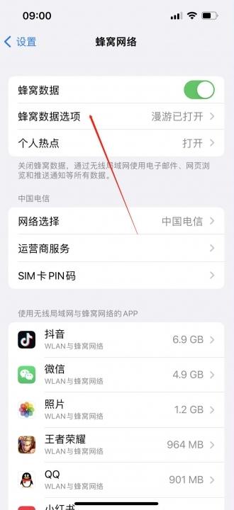 iphone13找不到5g开关-图2