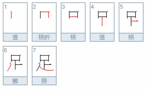 足的笔顺怎么写笔画