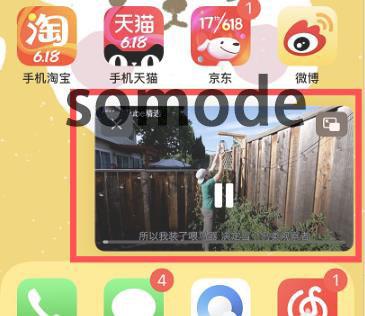 ios14画中画怎么操作-图4