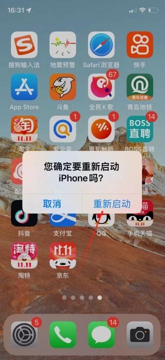 iphone13重启方法-图10