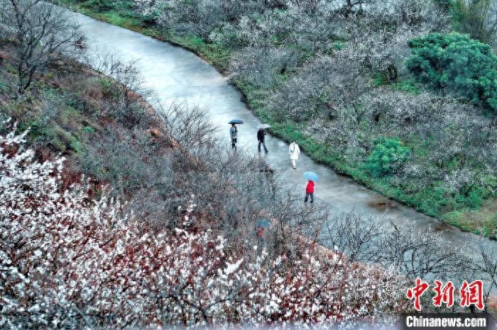 广州市花都区天气预报_广州市花_广州市花都区职业技术学校