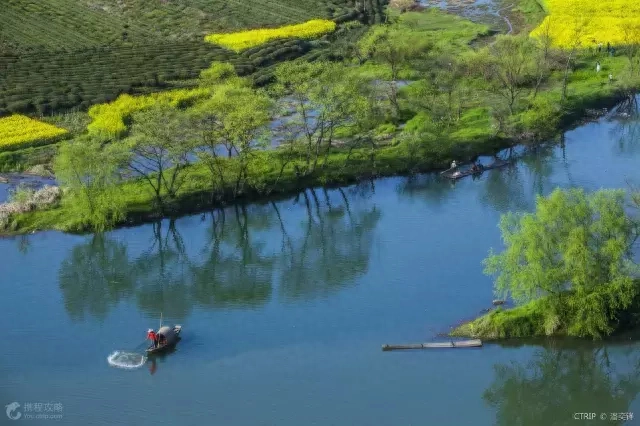 广州到婺源旅游攻略_婺源旅游攻略_景德镇到婺源去三清山旅游攻略