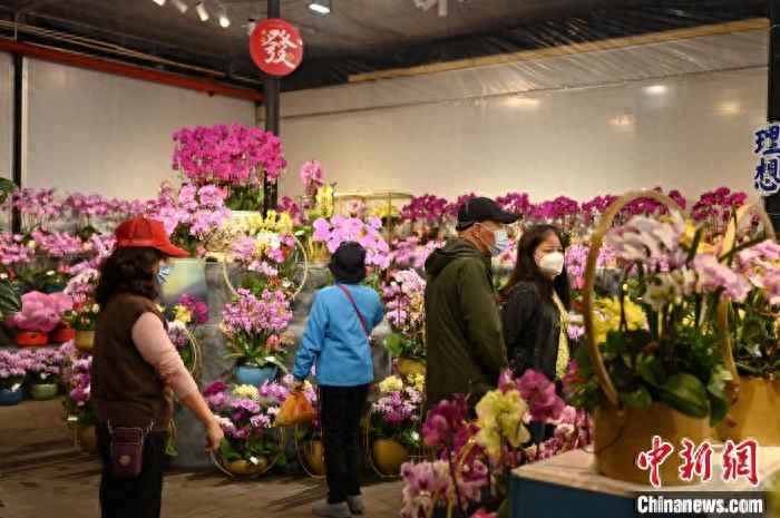 广州市花_广州市花都区职业技术学校_广州市花都区