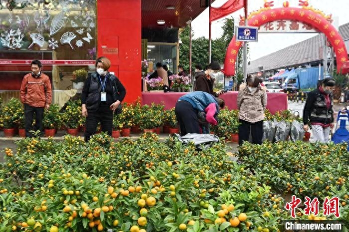 广州市花都区_广州市花_广州市花都区职业技术学校