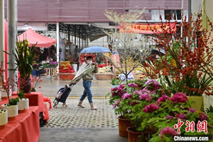 广州市花都区_广州市花_广州市花都区职业技术学校