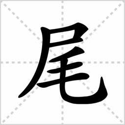 只多音字组词。