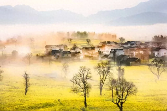 婺源旅游攻略景点必去_攻略婺源旅游的地方_婺源旅游攻略