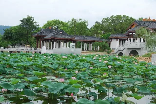 惠州游玩景点推荐_惠州旅游景点排名前十_惠州旅游景点哪里好玩