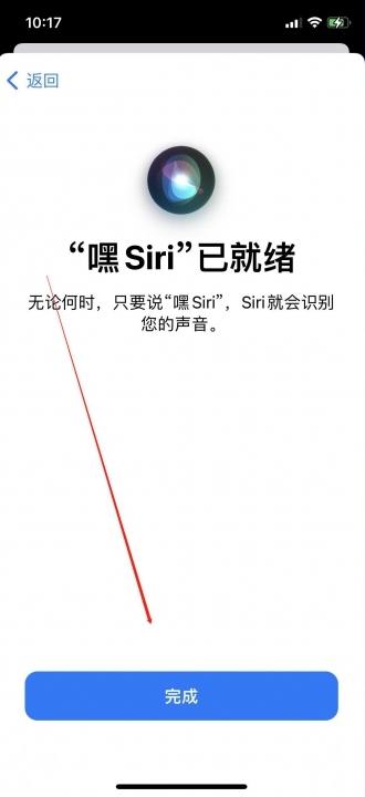 siri在哪里设置-图5