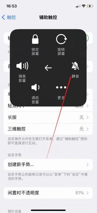 苹果13静音模式怎么关闭-图7