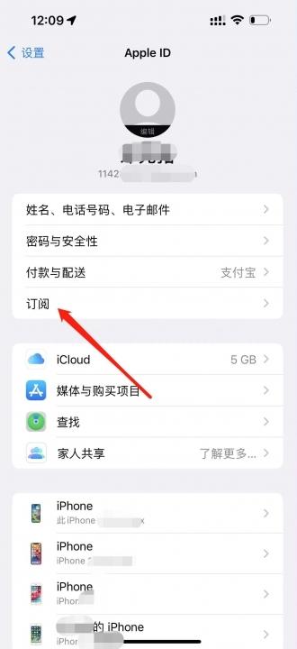 apple store自动续费怎么关闭-图2