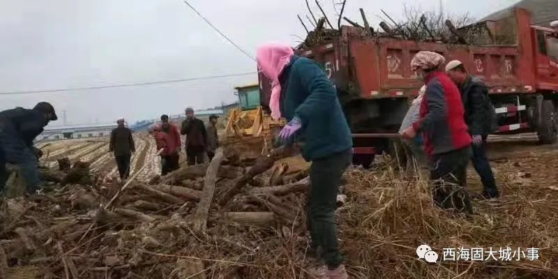 农村宅基地新政策_农村宅基地新政策_农村宅基地新政策