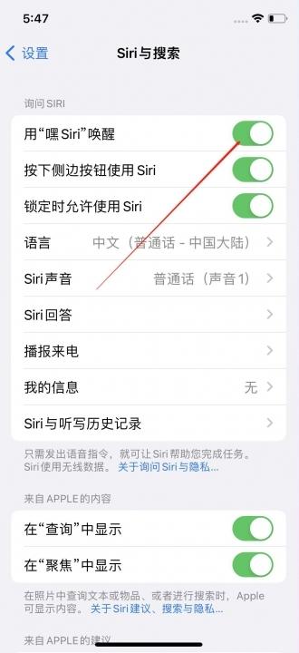 苹果13siri在哪里打开-图3