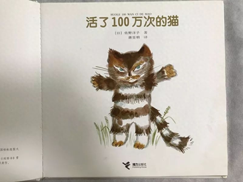 猫虎斑图片_虎斑猫_猫虎斑猫