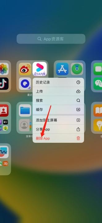 ipad怎么删除应用软件-图10