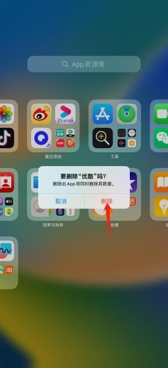 ipad怎么删除应用软件-图11