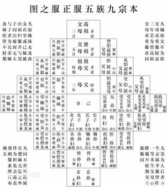 五服是啥意思是什么