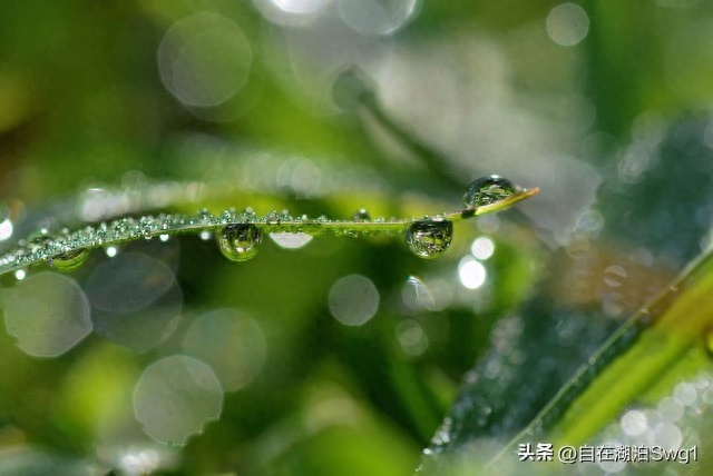 天气预报西宁天气预报15天_天气预报西宁十月份气温穿什么_西宁天气预报