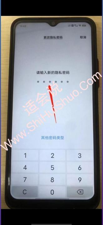 vivo手机隐私密码忘了怎么办-图5