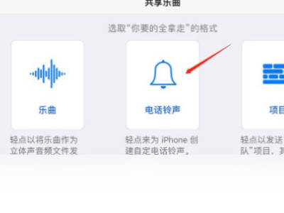 苹果手机如何设置铃声来电铃声-图4
