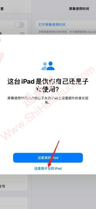 ipad青少年模式在哪里设置-图3