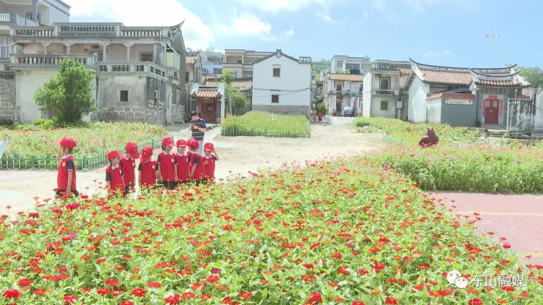 东山岛旅游攻略_东山岛在哪里_东山岛