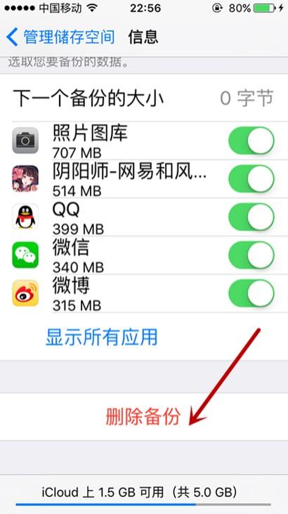 iPhone14plus怎么删除icloud备份 iphone删除icloud备份教程-图7